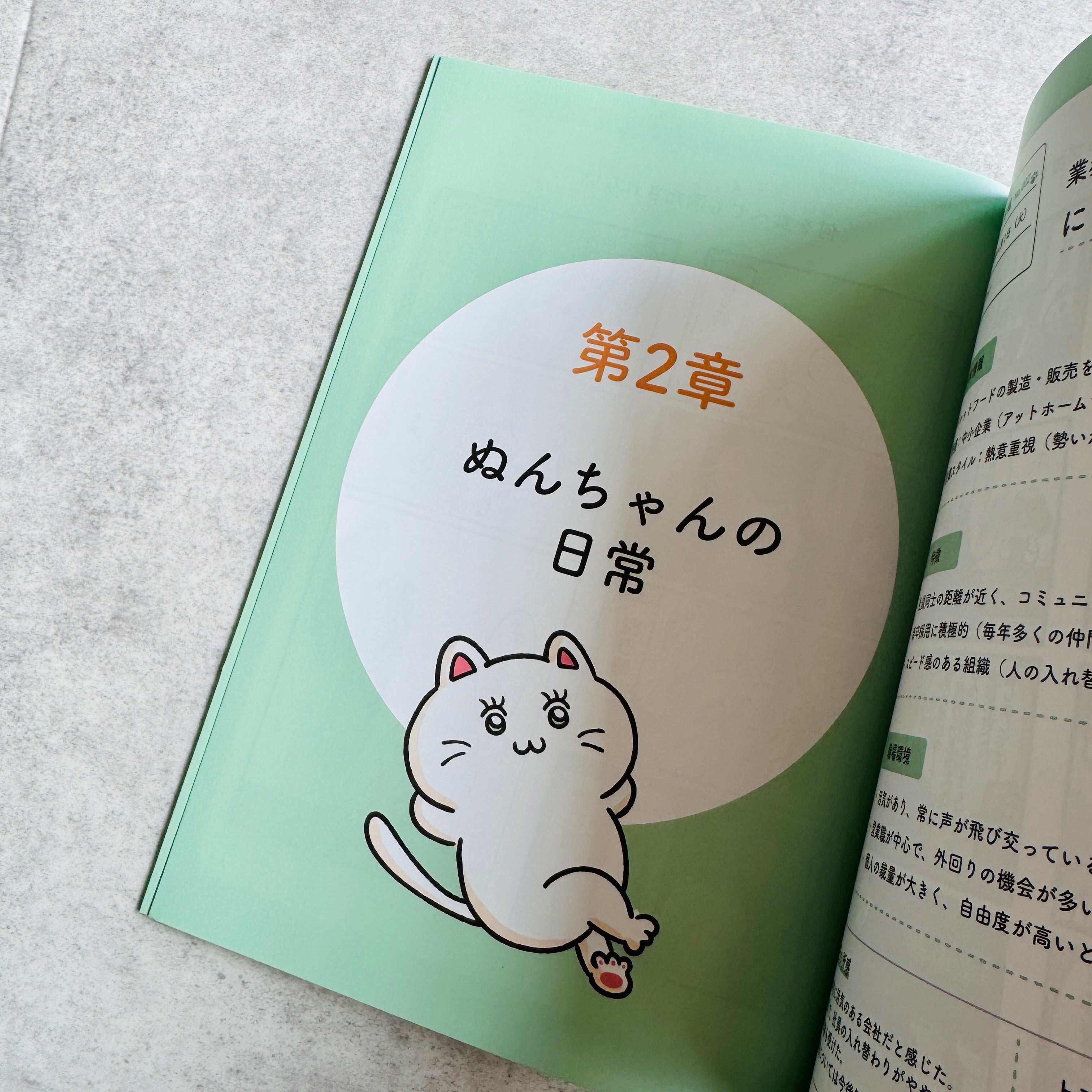 ふまじめ会社員ぬんちゃんの社畜日報①